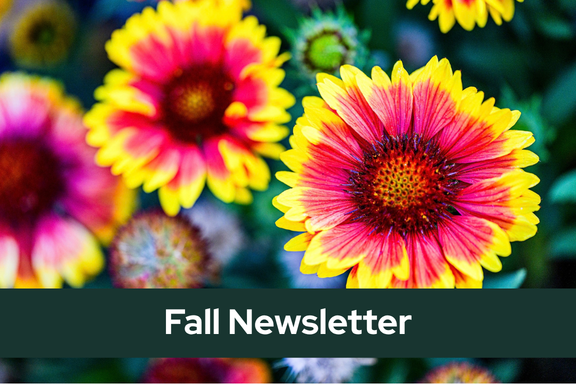 Fall newsletter with bright flowers in background
